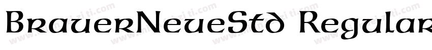 BrauerNeueStd Regular字体转换